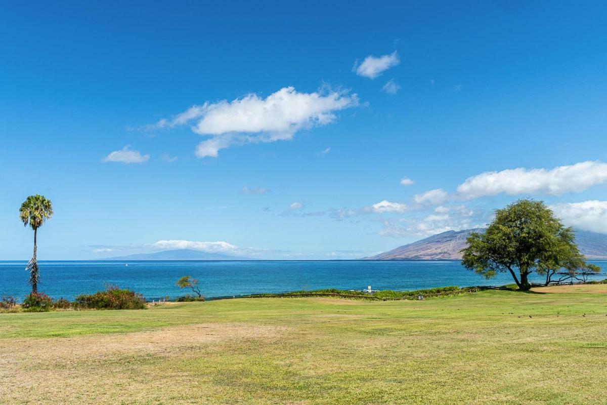 Maui Kamaole L107 Condo Wailea  Zewnętrze zdjęcie